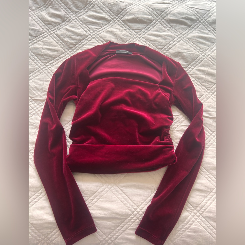 Workshop Republic Clothing Long-Sleeve Velvet Top in Deep Burgundy NWOT